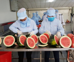 Cơ hội cho hàng dệt may, nông sản... từ RCEP