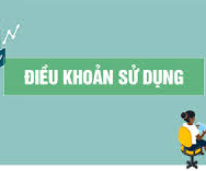 Điều khoản sử dụng