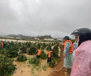 2 du khách mất tích khi đi qua cầu treo: Thông tin mới nhất