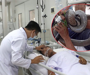 Gia cảnh khốn khó của người 'ôm' rắn hổ mang chúa vào bệnh viện cấp cứu