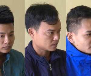 Dán keo 502 biến lan thường thành lan đột biến, lừa hơn 1 tỷ đồng