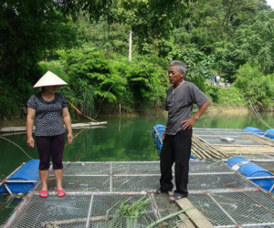 Có của ăn, của để nhờ mô hình nuôi cá lồng đặc sản trên dòng sông Vi Vọng