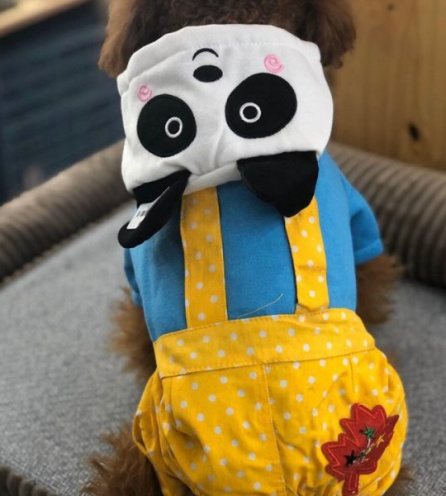 Áo gấu trúc size M