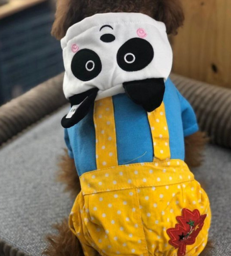 Áo gấu trúc size M