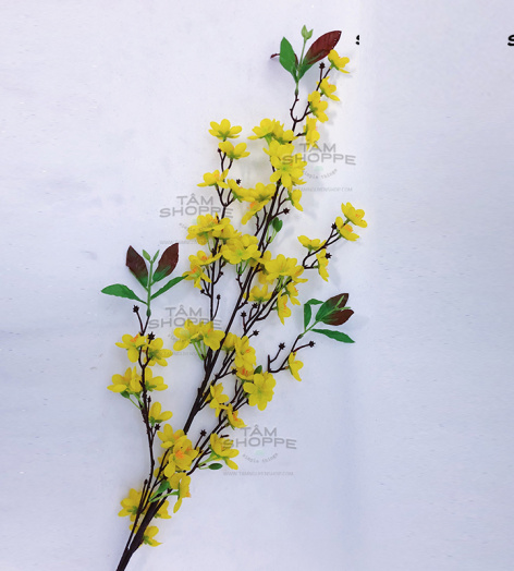 Combo 5 cành mai phú quý trang trí Tết