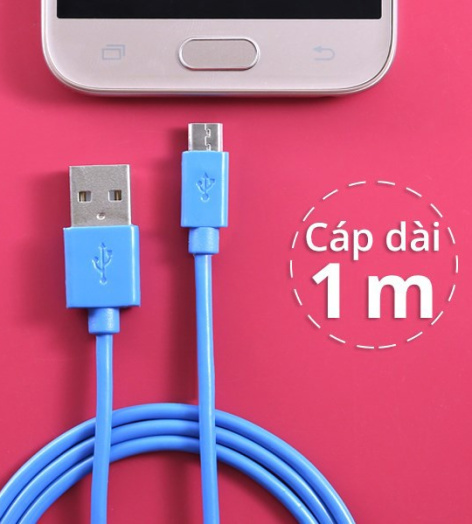 Dây cáp Micro USB 1 m e.Saver DS118-TB