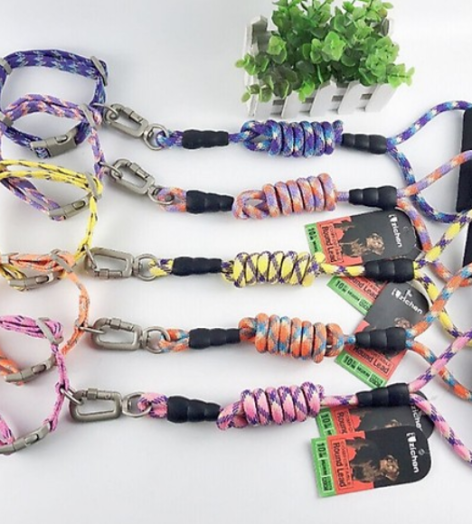 Dây dắt cổ zichen 0.8 cm