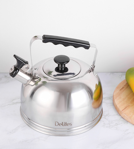 Ấm đun nước inox Delites BR001 4 lít