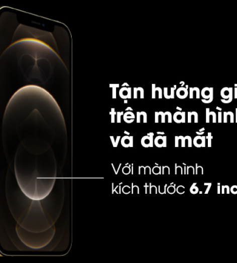 Điện thoại iPhone 12 Pro Max 128GB